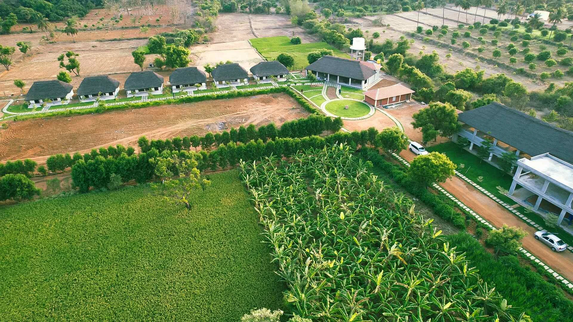 A serene image representing rejuvenation.